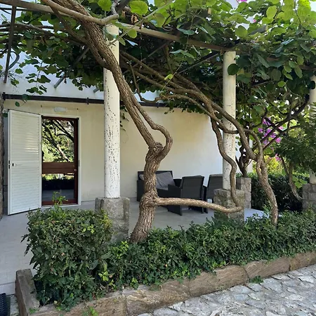 Apartment Kucer